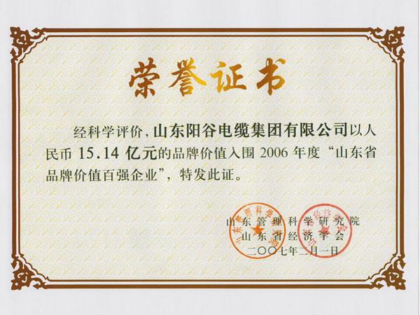 山東省品牌價值百強(qiáng)企業(yè)