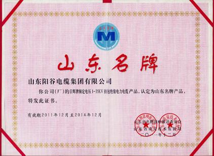 陽谷電纜集團2015電線電纜十大品牌